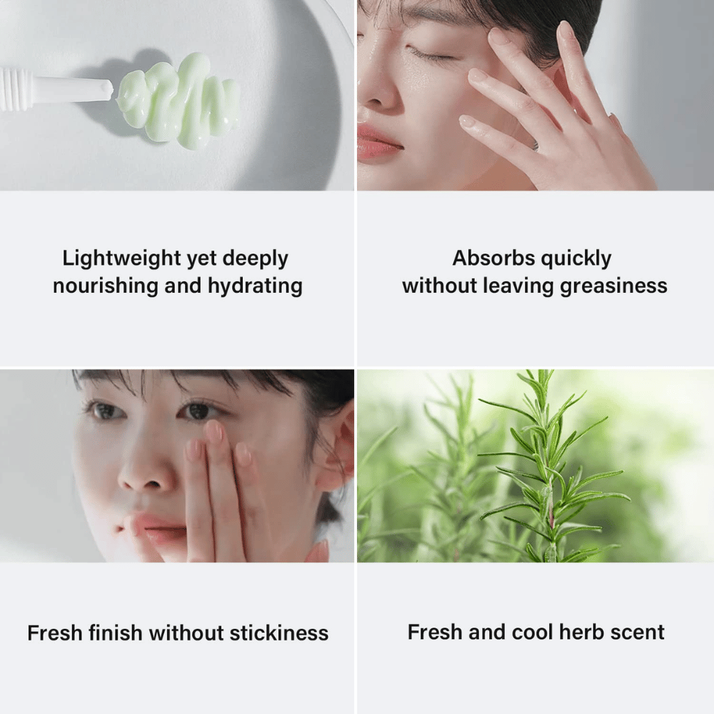 Fyra bilder som visar fördelarna med en hudvårdsprodukt. Överst till vänster syns en grön kräm på en borste, med texten "Lightweight yet deeply nourishing and hydrating." Överst till höger, en kvinna som applicerar produkten, med texten "Absorbs quickly without leaving greasiness." Nederst till vänster, en kvinna som masserar in produkten, med texten "Fresh finish without stickiness." Nederst till höger syns en bild av rosmarin med texten "Fresh and cool herb scent.