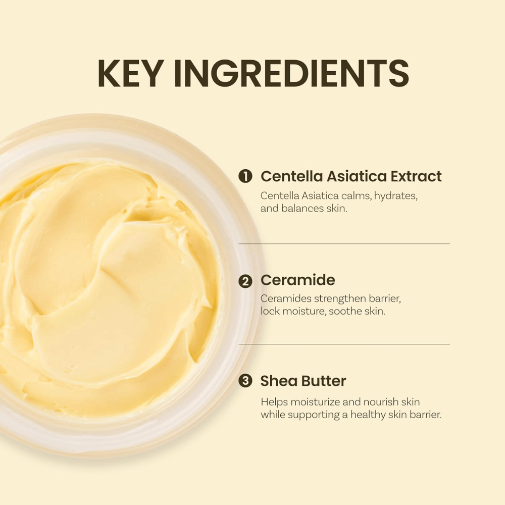 Kluczowe składniki w Ongredients Deep Calming Cream: Centella Asiatica, ceramidy i masło shea, które nawilżają i balansują skórę.