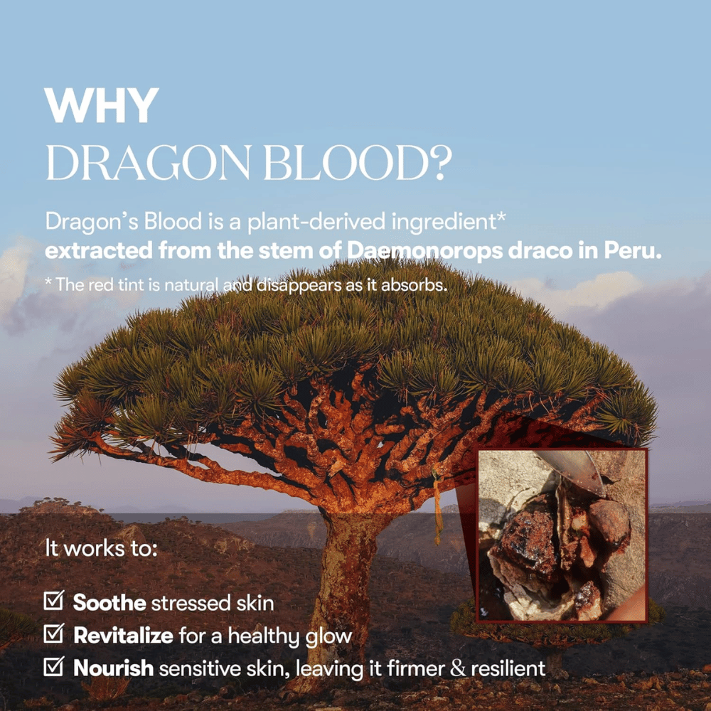 Ilustracja drzewa Dragon's Blood (Daemonorops draco) w Peru, składnik w VT Red Booster Reedle Shot 100, który koi zestresowaną skórę, wzmacnia barierę skórną i nadaje zdrowego blasku.